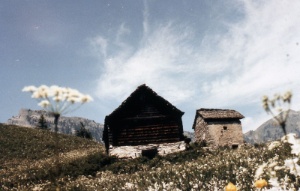 Standort Munt la Reita zu Beginn 
