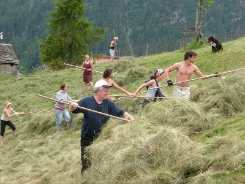 Heuermannschaft in Aktion