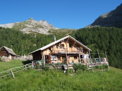 1997 neu erbaute Alphütte