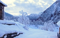 Morgenstimmung